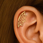 Dian kuva