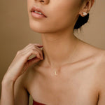 Dian kuva